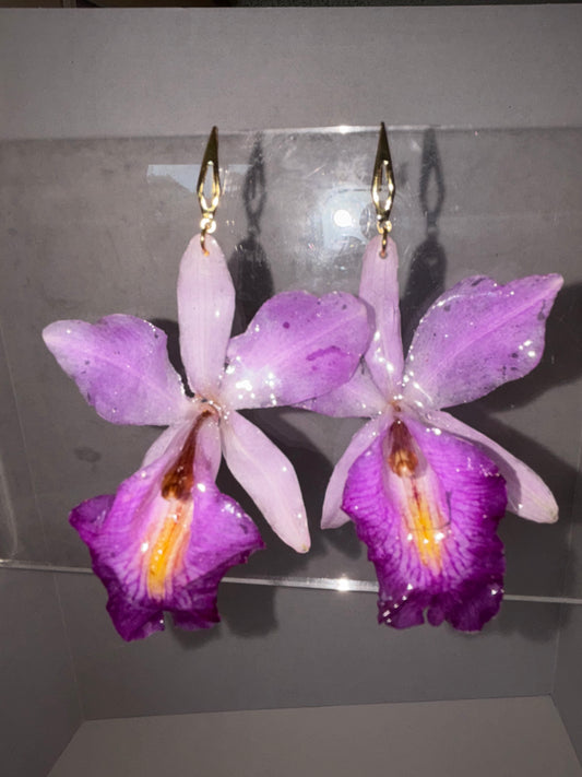 Big Earrings