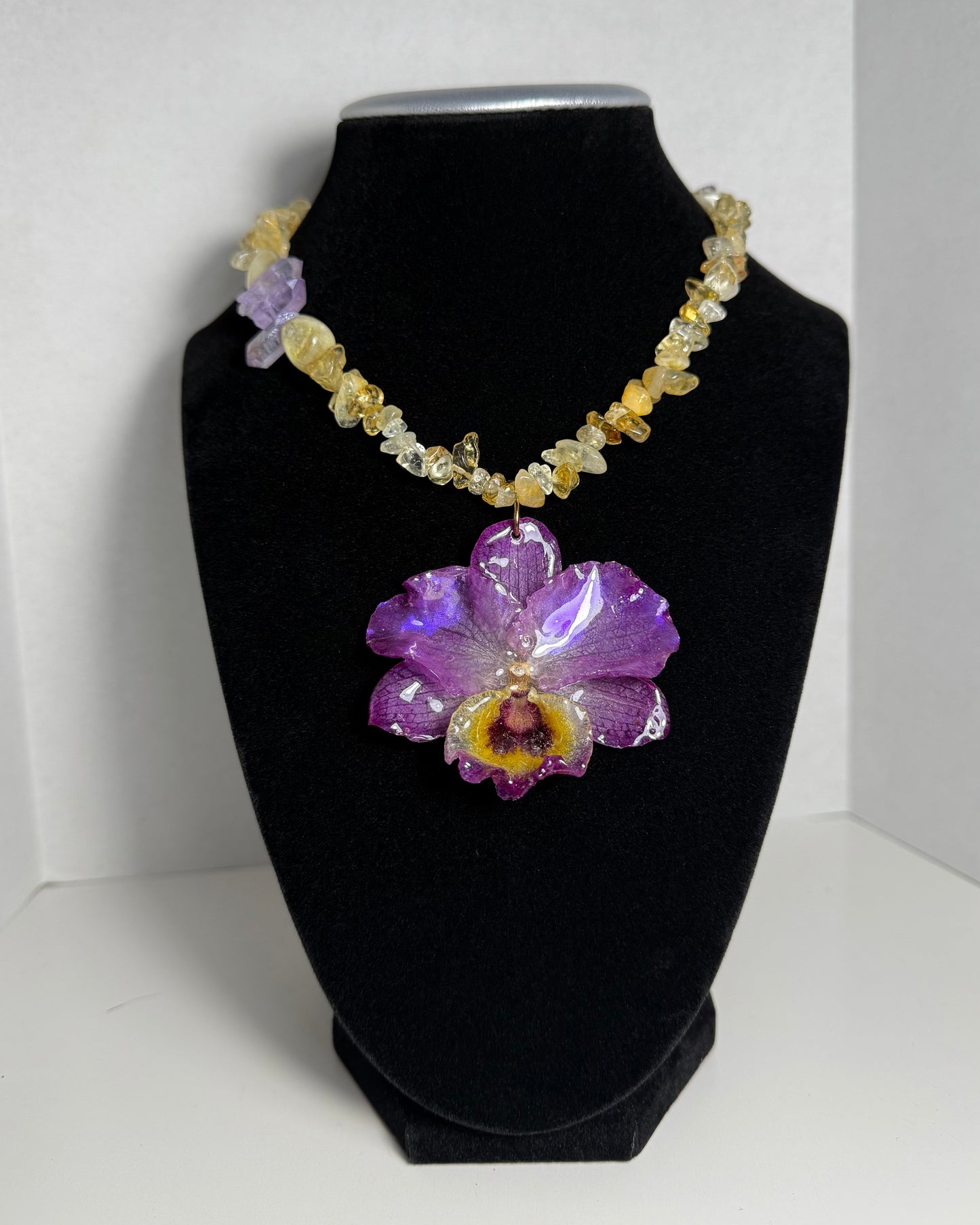 Awakening Bloom