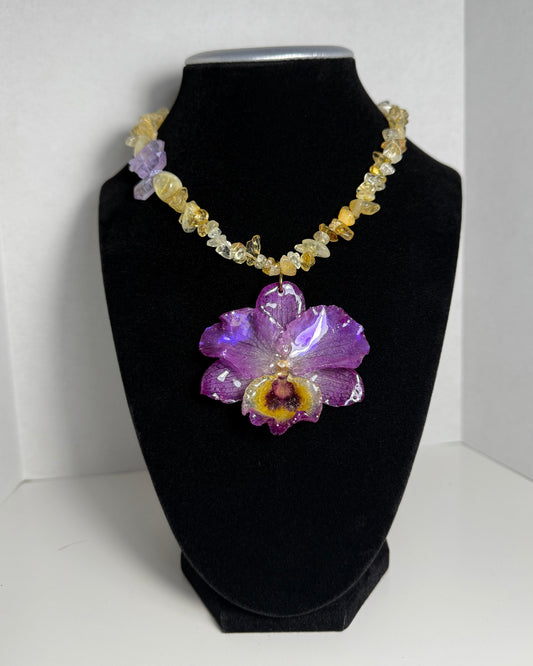 Awakening Bloom